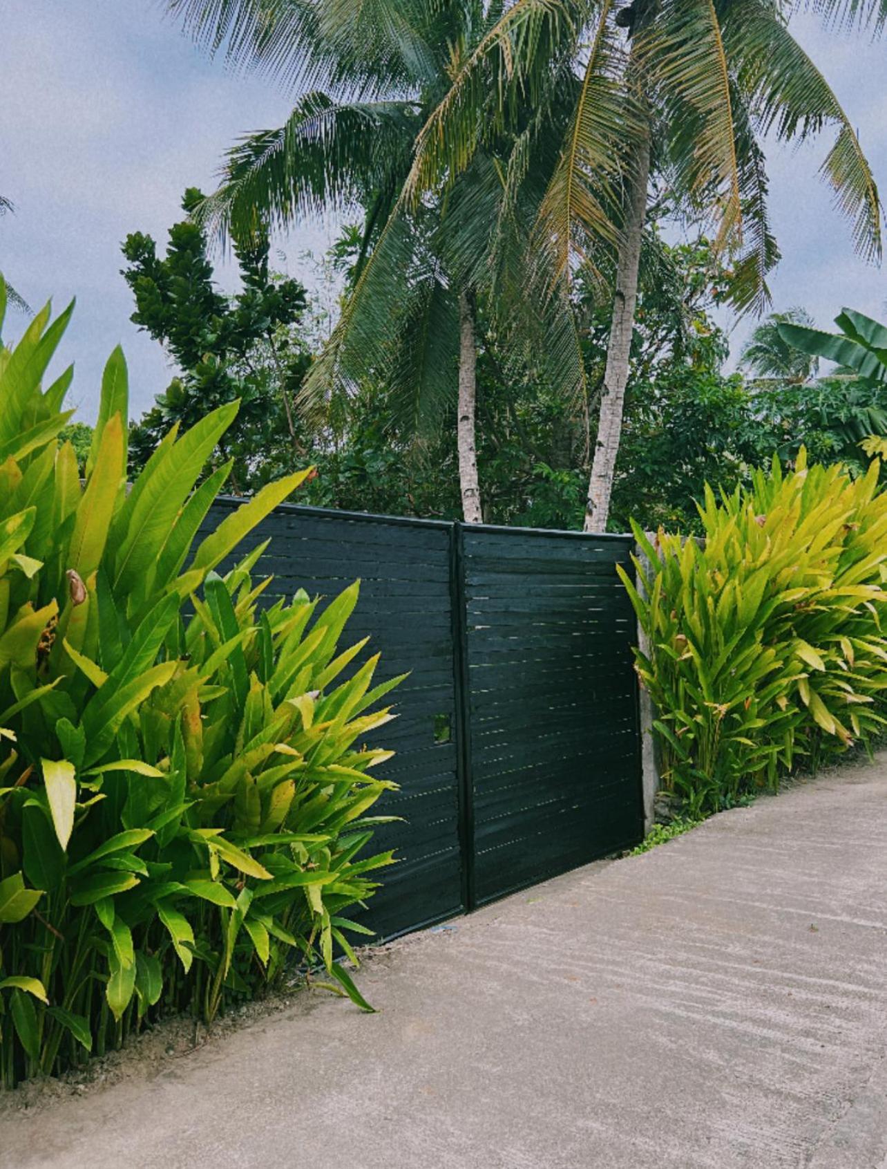 Secret Pool Villa Tuason Beach General Luna  Zewnętrze zdjęcie